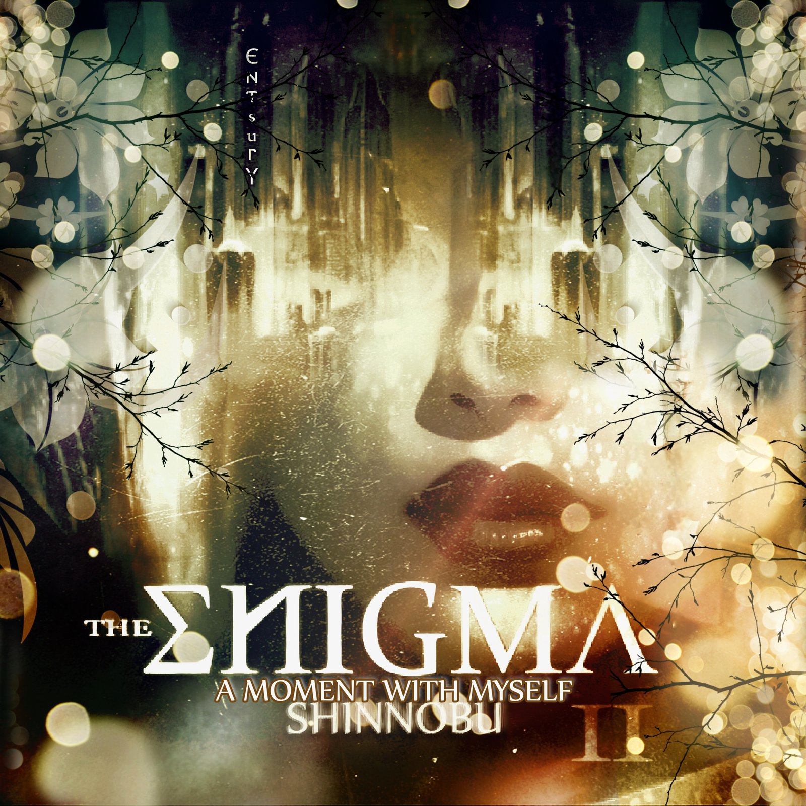 Cover of The Enigma II
